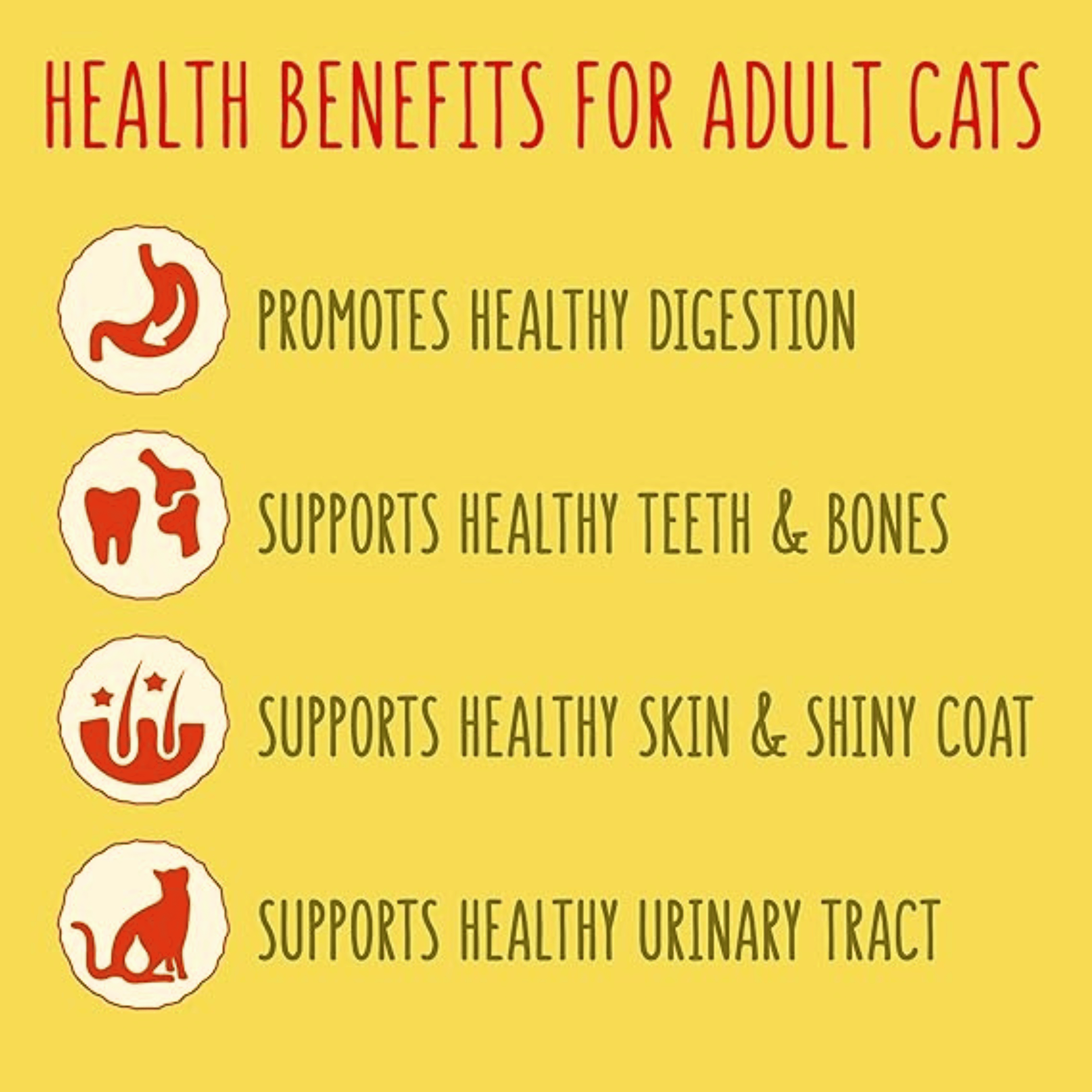 GO-CAT Chicken & Turkey Complete Dry Cat Food – Balanced Daily Nutrition (750g)