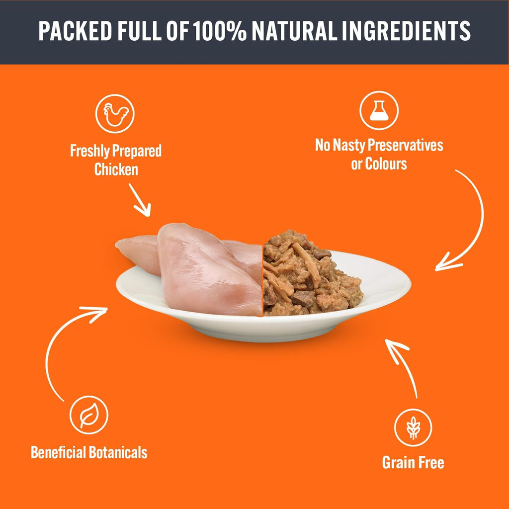 HiLife It’s Only Natural Chicken Cat Food Pouches in Jelly (32 x 70g) – Grain Free Multipack