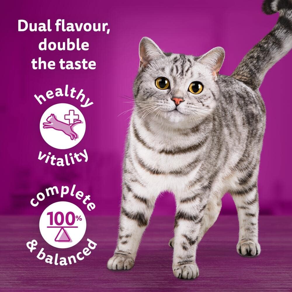 WHISKAS Adult Wet Cat Food Pouches (40 x 85g) – Surf & Turf in Jelly | Mega Value Pack