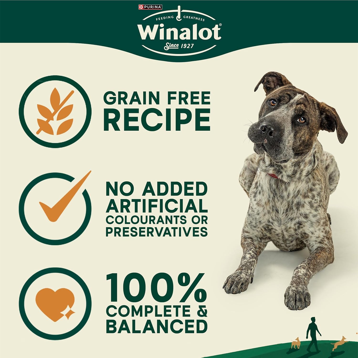 WINALOT Meaty Chunks Mixed in Jelly Wet Dog Food Pouches (40 x 100g) – Mixed Flavours Multipack