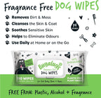 Bugalugs Plastic-Free Wipes – Fragrance-Free Sensitive Wipes for Dogs, Puppies & Cats (110 Wipes)