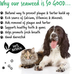 Bugalugs Plaque Off Remover for Dogs & Cats – 100% Natural Seaweed Powder for Teeth, Plaque & Bad Breath (70g)