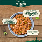 WINALOT Meaty Chunks Mixed in Jelly Wet Dog Food Pouches (40 x 100g) – Mixed Flavours Multipack